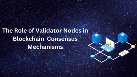 Validator Nodes: Ensuring Security